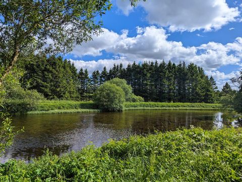 Woodland and private lake at Tarn Sike, Raisbeck, Cumbria