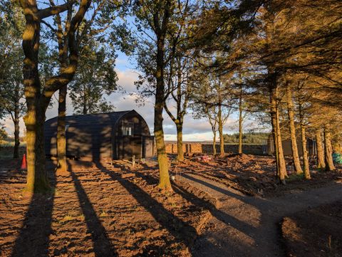 Pods in the Sun - The site is coming together