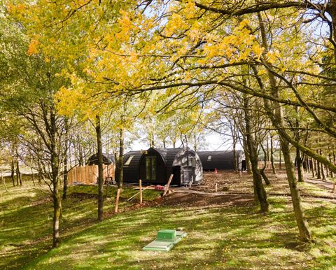 The site in autumn during construction